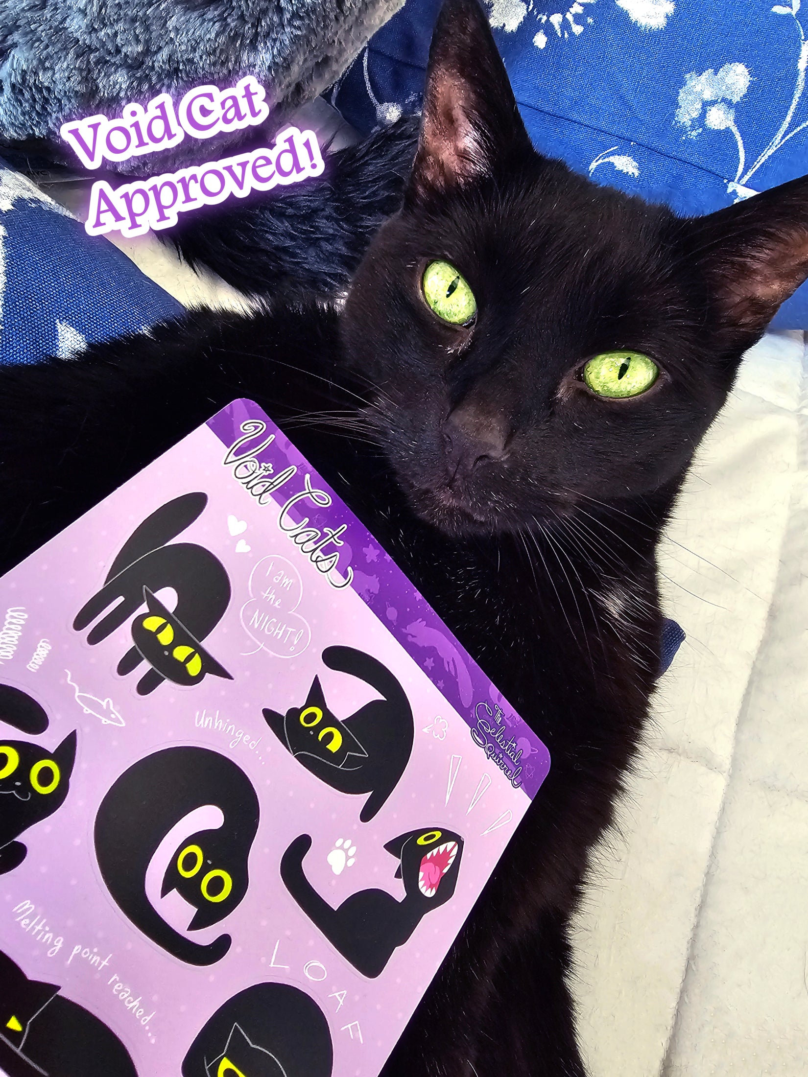 Void Cats Vinyl Sticker Sheet